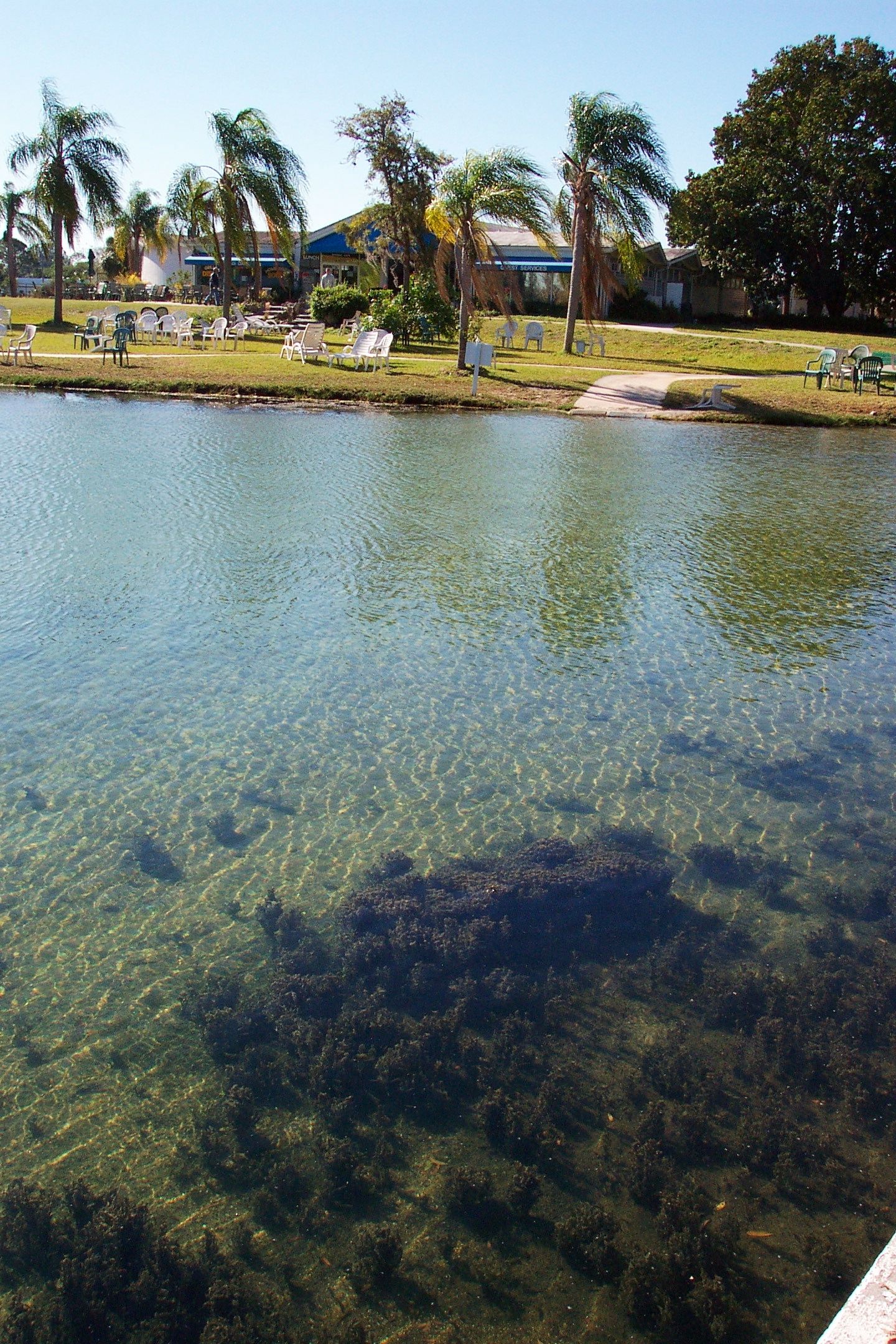 Sarasota Water Temperature - a7c1fm5