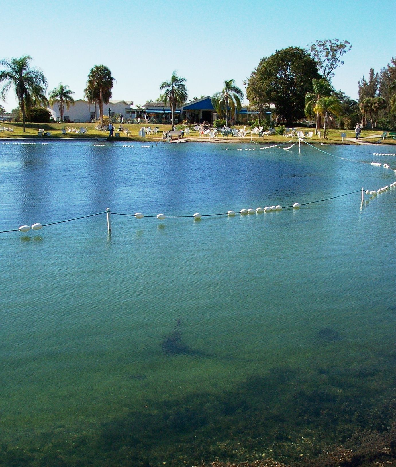 Sarasota Water Temperature - ankd065
