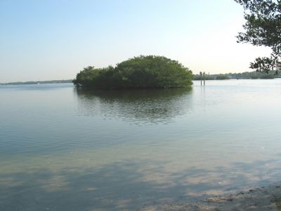 Little Sarasota Bay