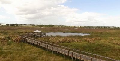 Celery Fields Regional Stormwater Facility