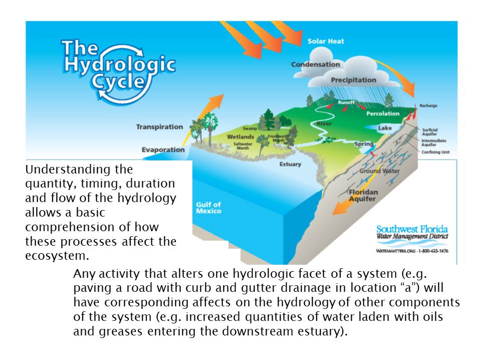Hydrology1.JPG